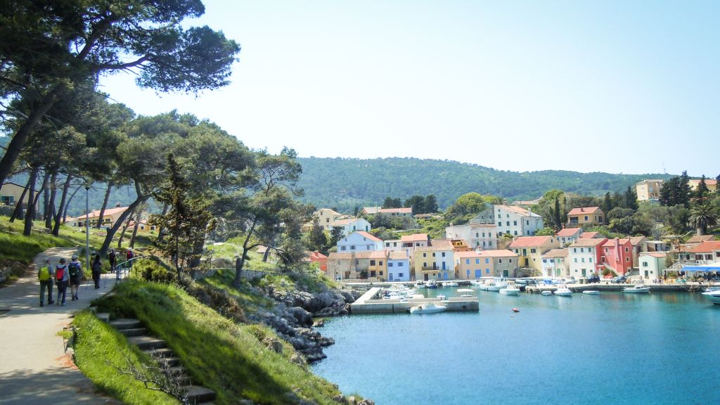 Exciting walks among fragrant bays